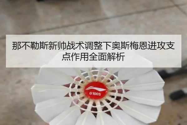 那不勒斯新帅战术调整下奥斯梅恩进攻支点作用全面解析（kaiyun）